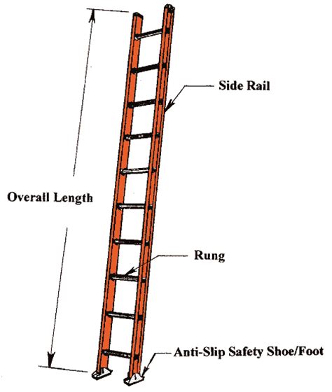 21(c)(4) "Extension ladder. . A single ladder is virtually identical to